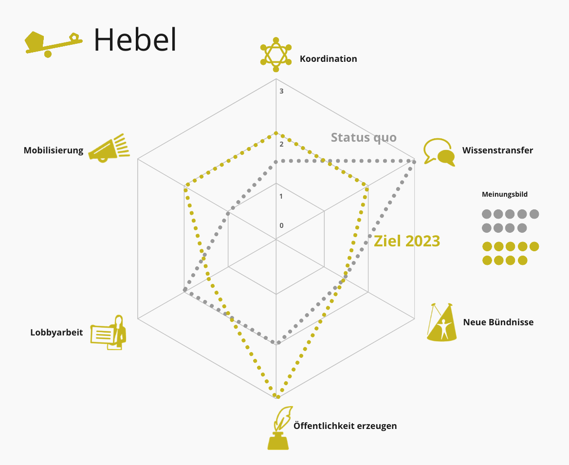 Spinnengrafik "Hebel" für eine fiktive Nichtregierungsorganisation mit Icons für jedes der 6 Themenfelder